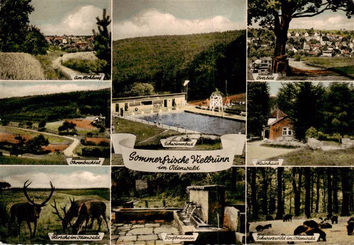 Vielbrunn Landschaftspanorama Hohberg Hirsche Schwimmbad Dorfbrunnen Ortsbild Ha