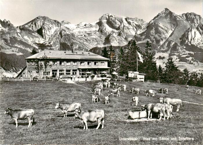 Unterwasser  Toggenburg SG Berghaus Iltios Almvieh Alpen