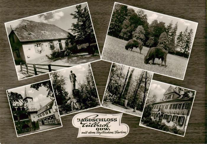 Eulbach Michelstadt Jagdschloss Eulbach mit dem Englischen Garten mit Bisons