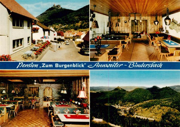 Annweiler Trifels Pension Zum Burgblick Gastraeume Fliegeraufnahme