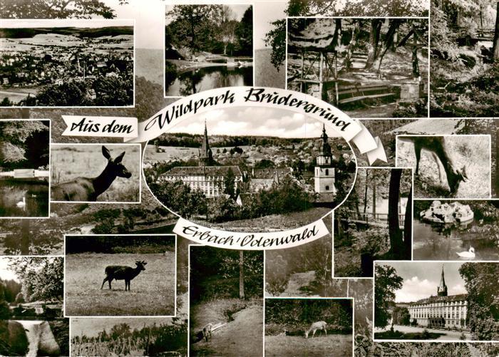 Erbach Odenwald Wildpark Brudergrund Teilansichten
