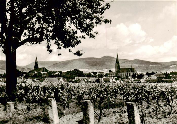 Edenkoben Gesamtansicht