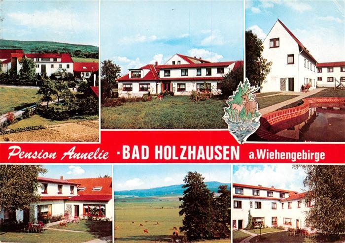 Bad Holzhausen Luebbecke Preussisch Oldendorf NRW Pension Annelie Landschaftspan