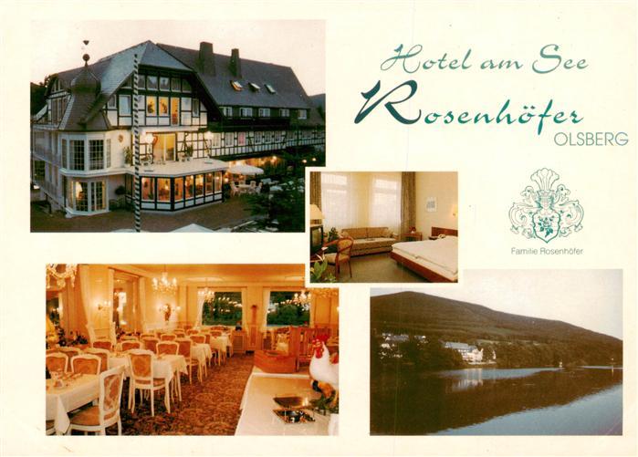 Olsberg Sauerland Hotel am See Rosenhoefer Restaurant