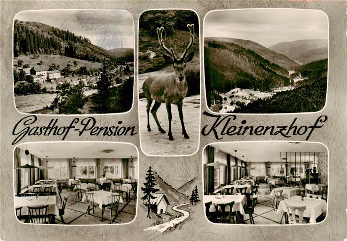 Bad Wildbad Gasthof Pension Kleinenzhof Hirsch Panorama Schwarzwald Bromsilber