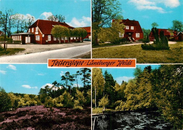 Tosterglope Gast und Pensionshaus Hachmeister Heidepartien