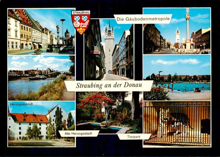 Straubing Herzogsschloss Kirche Denkmal Brunnen Tierpark Schwimmbad