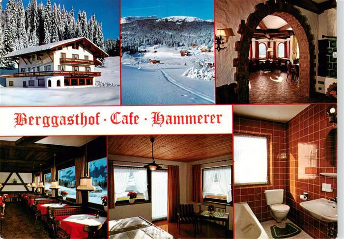Hirschegg Kleinwalsertal Vorarlberg AT Berggasthof Cafe Hammerer Gastraeume Zimm