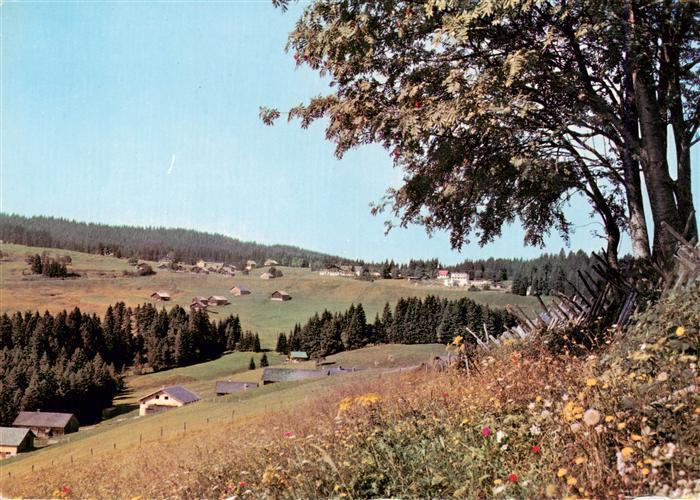 Boedele Panorama