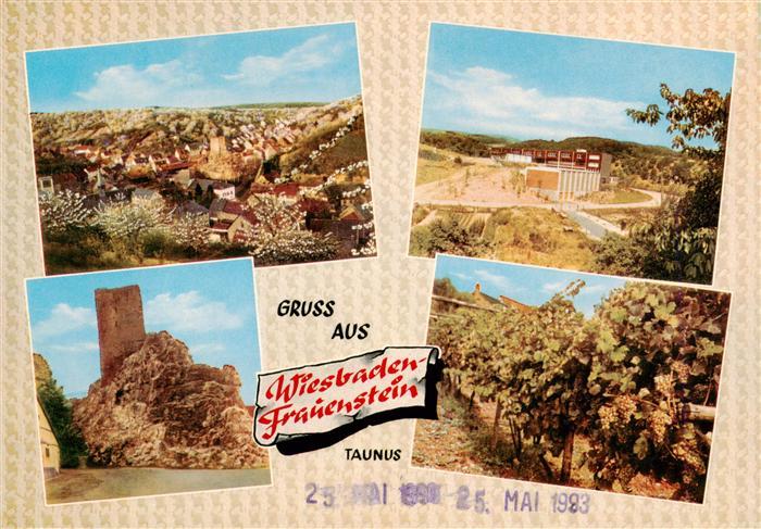 Frauenstein  Wiesbaden Panorama Burg Reben Panorama