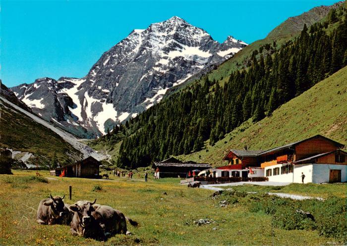 Pinnisalm 1559m Stubaital AT Alpengasthaus Pinnisalm mit Blick zum Habicht