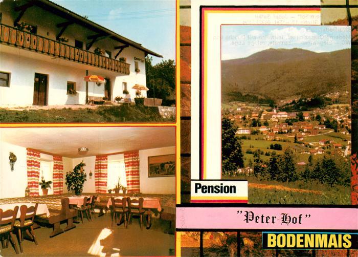 Bodenmais Pension Peterhof Gaststube Panorama