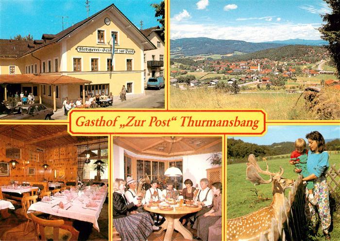 Thurmansbang Gasthof Zur Post Gastraeume Damhirsch Panorama