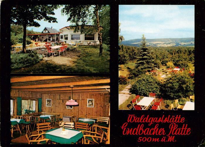 Bad Endbach Waldgaststaette Endbacher Platte Gaststube Panorama