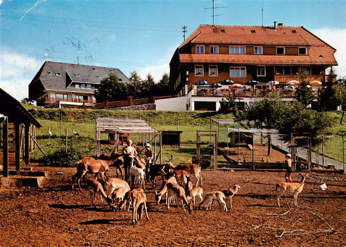 Haeusern Schwarzwald Hotel Pension Waldlust Zumkellers Wildgehege