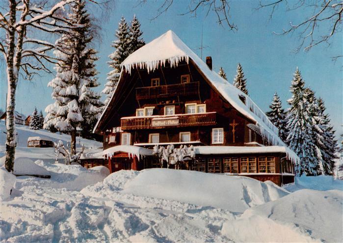 Baerental Feldberg Schwarzwald Adler