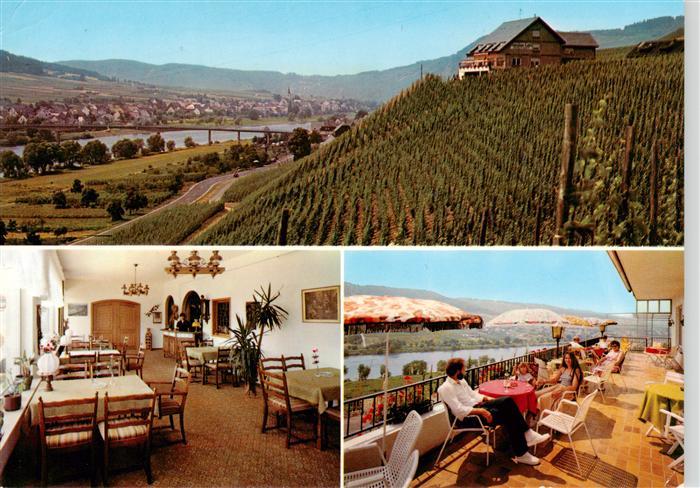 Kinheim Panorama Pension Cafe Weinhaus Molitor Gaststube Terrasse