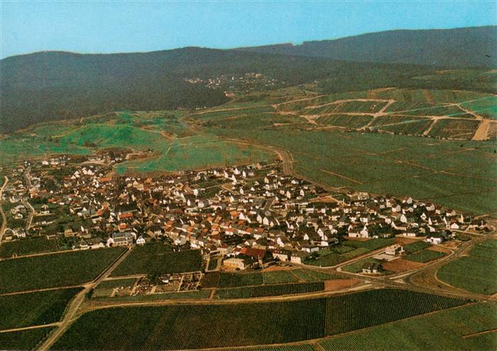 Hallgarten Rheingau Fliegeraufnahme