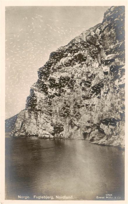 Fuglebjerg Island Norge Kuestenpanorama Steilkueste