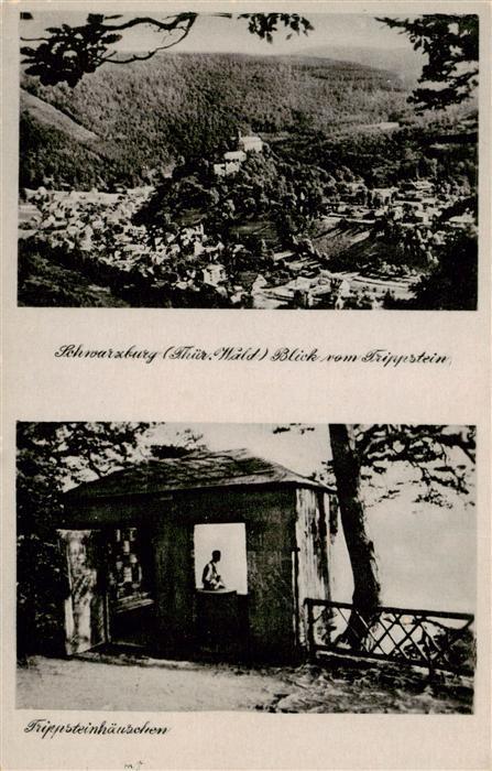 Schwarzburg Thueringer Wald Panorama Blick vom Trippstein Trippsteinhaeuschen Au