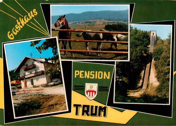 Arnbruck Gasthaus Pension Trum mit Zellertalschanze Pferdekoppel