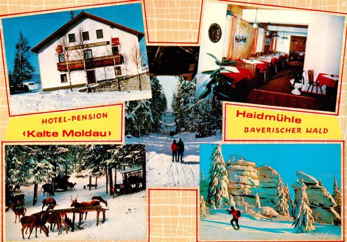 Haidmuehle Hotel Pension Kalte Moldau Gastraum Wildfuetterung Skipiste