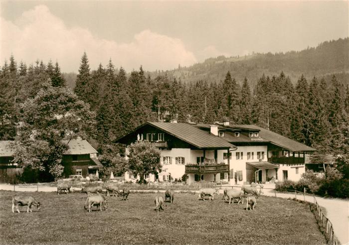 Elmau Ellmau Tirol AT Gaestehaus Alpengut