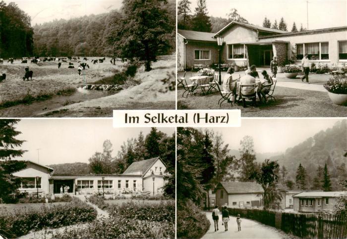 Selketal Schulungs- und Ferienheim Selkemuehle Landschaft Viehweide