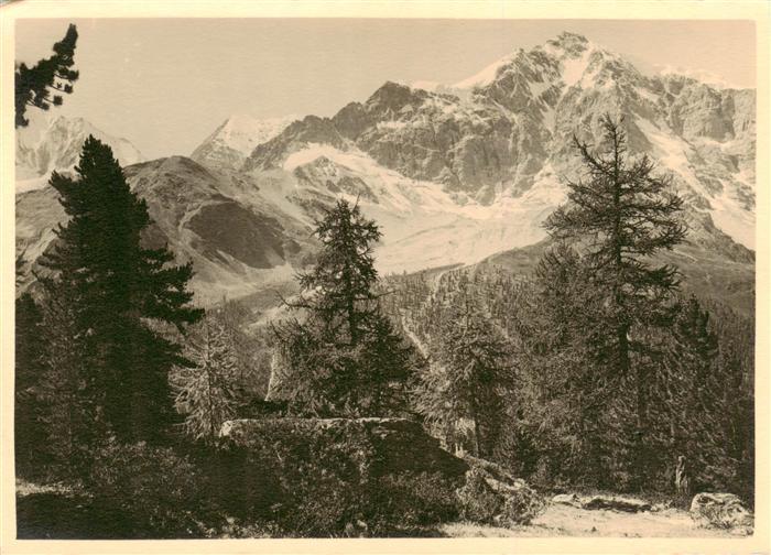 Gruppo dell Ortler Panorama dell Ortler dal Val di Zei