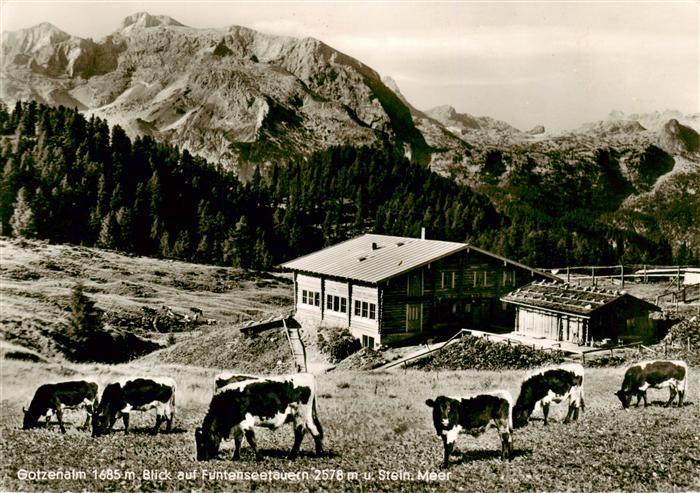 Gotzenalm 1740m Berchtesgaden Blick auf Funtenseetauern und Steinernes Meer