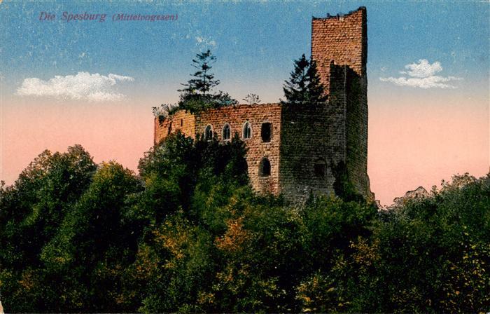 Vogesen Vosges Region Die Spesburg