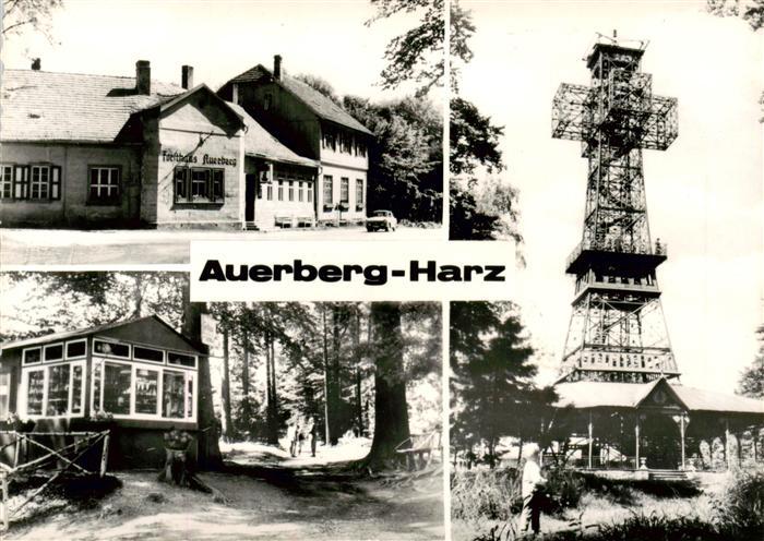 Auerberg Harz Gaststaette Auerberg Weg zur Josephshoehe Josephskreuz