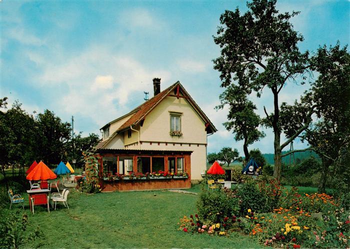 Dornstetten Wuerttemberg Gartenwirtschaft Zaunkoenig