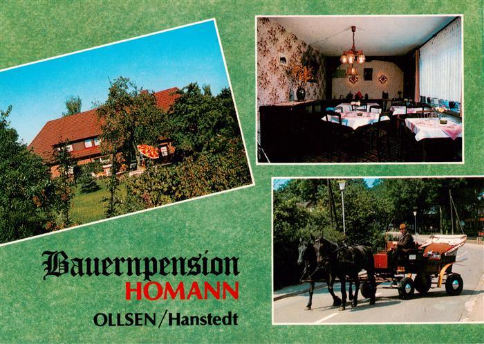 Ollsen Hanstedt Bauernpension Gaststube Pferdekutsche