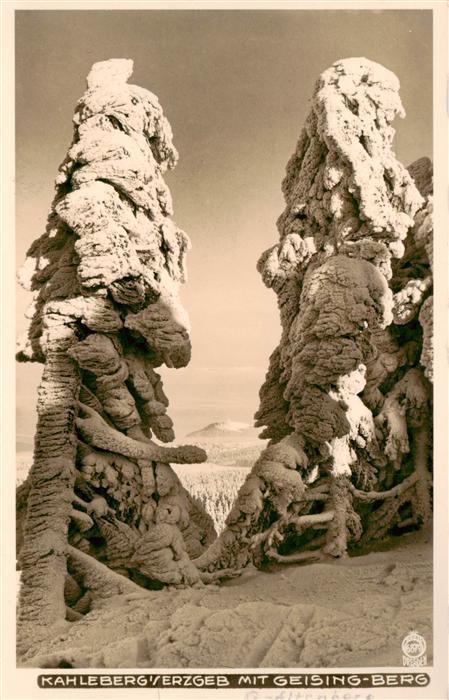 Geisingberg 821m Altenberg Erzgebirge Sachsen Winteridyll