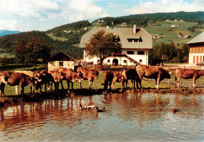 Oberbozen Ritten Suedtirol IT Jausenstation Lobishof Viehtraenke Kuehe