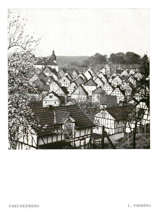 Freudenberg Baden Ortsansicht