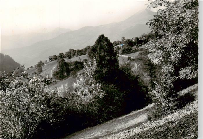 Buchen Praettigau Landschaftspanorama Blick auf Schwesternheim Winkel