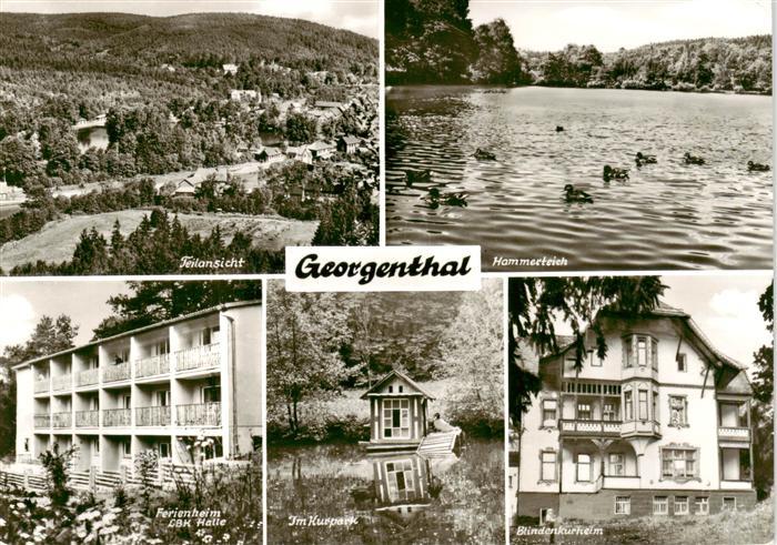 Georgenthal Gotha Panorama Hammerteich Ferienheim LBK Halle Im Kurpark Blindenku