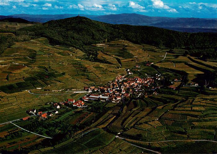 Bickensohl Vogtsburg Kaiserstuhl Fliegeraufnahme