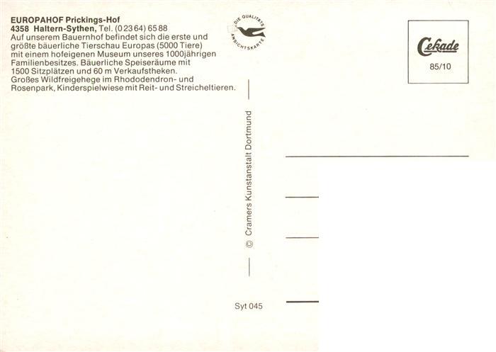 Sythen Haltern Europahof Prickings Hof Tierschau Baeuerliches Museum Verkaufsthe – Bild 2