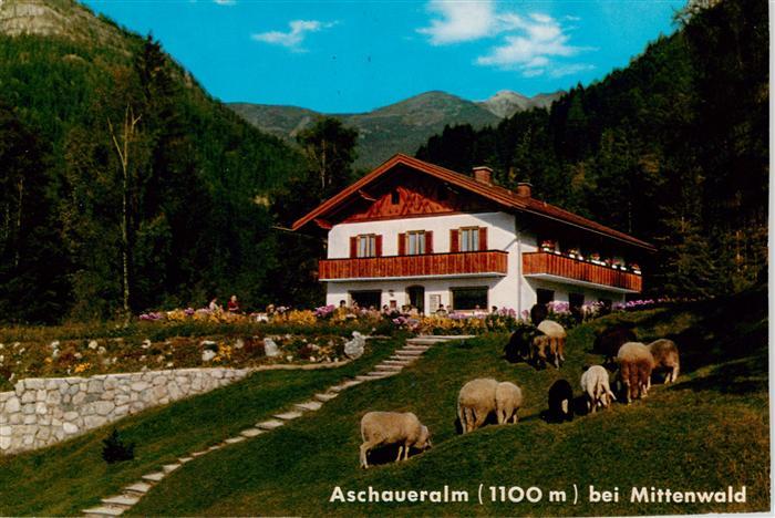 Mittenwald Bayern Aschaueralm