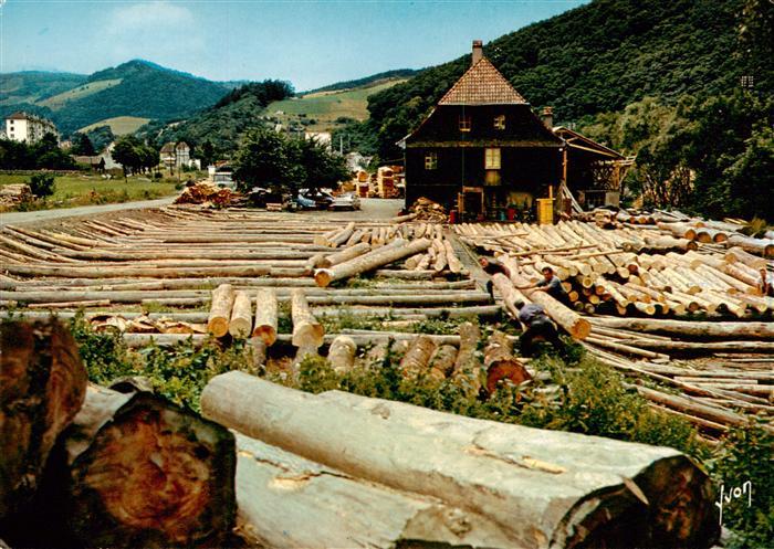 Vogesen Vosges Region Scierie dans une Vallee