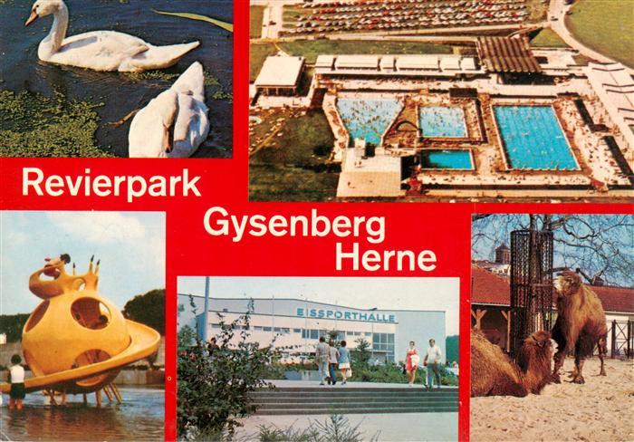 Herne Westfalen Revierpark Gysenberg Eissporthalle Fliegeraufnahme Kamele Schwa