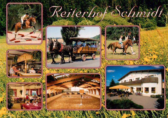 Nieschuetz Diesbar Reiterhof Schmidt Kutschfahrten Springreiten Reithalle Bar Ga