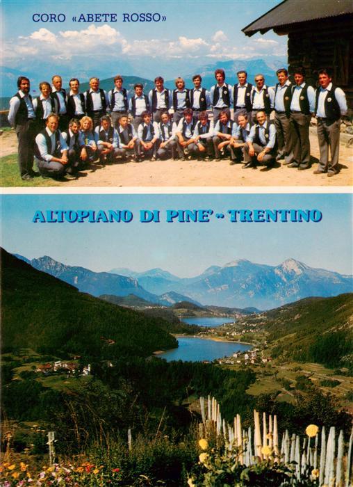 Trento Trient Trentino-Alto Adige IT Coro Abete Rosso Altopiand di Pine Trentino