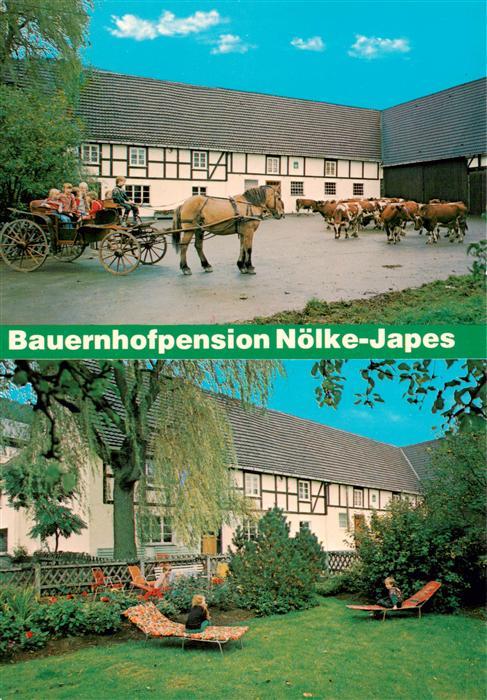 Meschede Bauernhofpension Noelke Japes Pferdekutsche Liegewiese