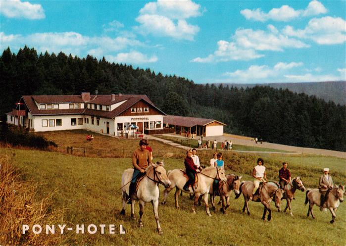 Hammelbach Grasellenbach Pony Hotel Gassbachhof Ponywanderung