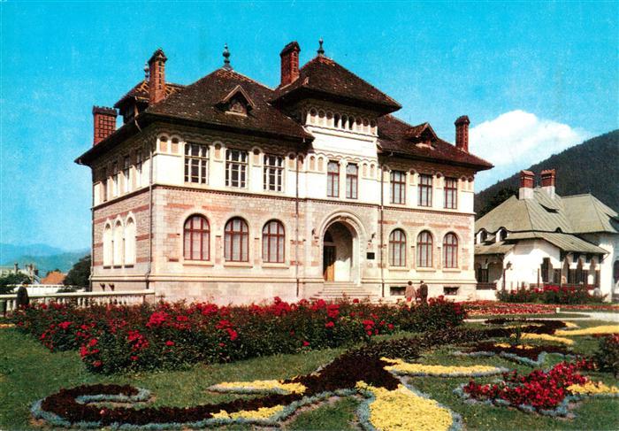 Piatra-Neamt RO Colectia de arta