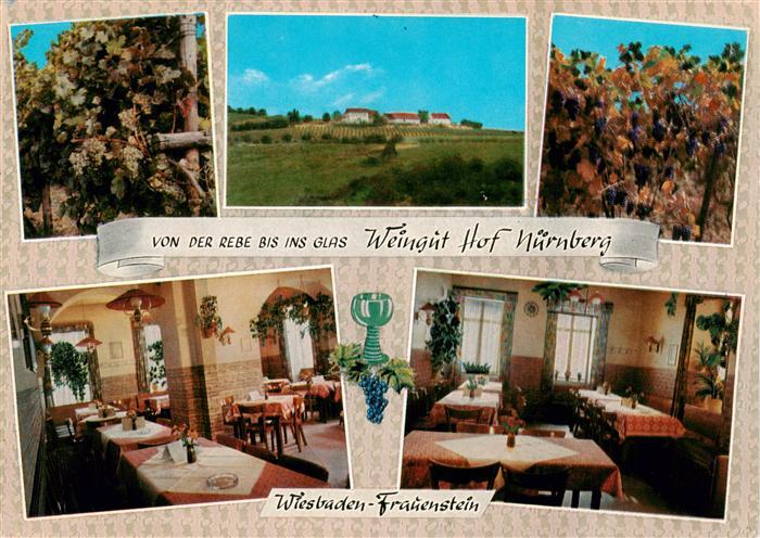 Frauenstein  Wiesbaden Weingut Hof Nuernberg Gastraeume Reben Panorama